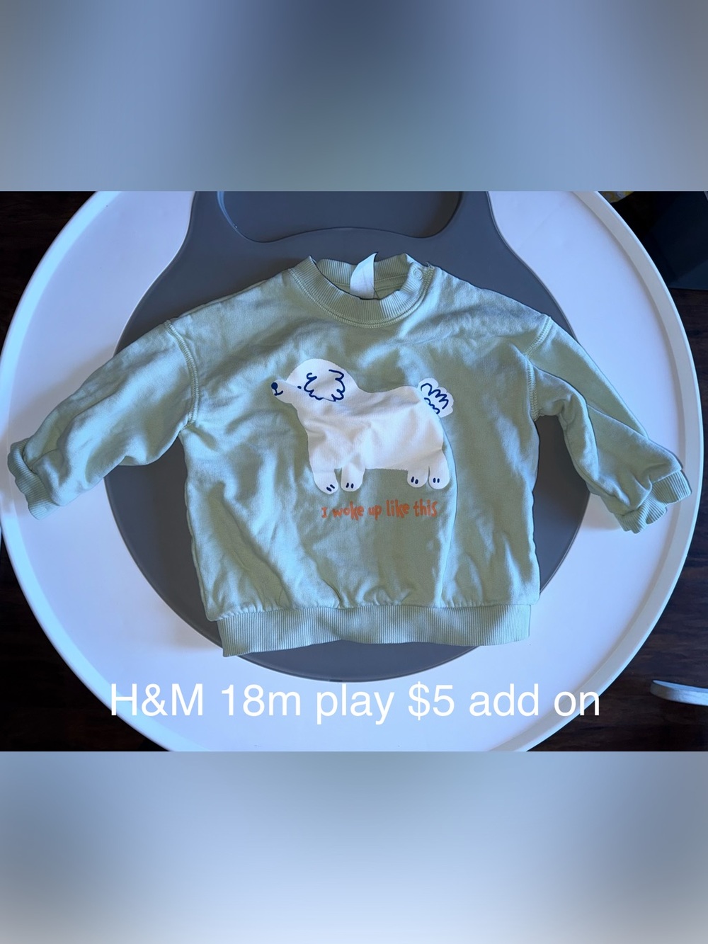 H&M Light Green Sweatshirt with White Dog Graphic